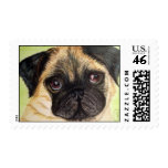 Pug Dog Postage Mail Stamp