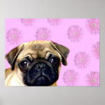 Pug dog print