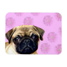 Pug dog rectangular magnet