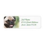 Pug Dog Return Address Label