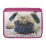 Pug dog sleeves for MacBook air