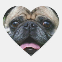 Pug Dog Stickers