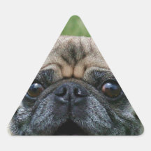 Pug Dog Triangle Sticker
