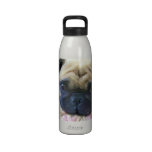 Pug dog water bottle
