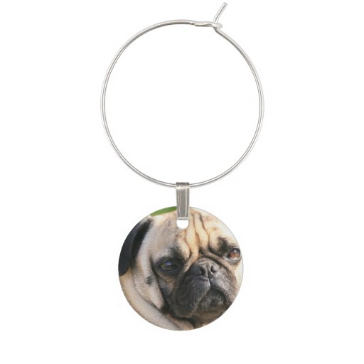 pug wine glass pug wine glass charm zazzle pug wine glass pug wine glass charm zazzle