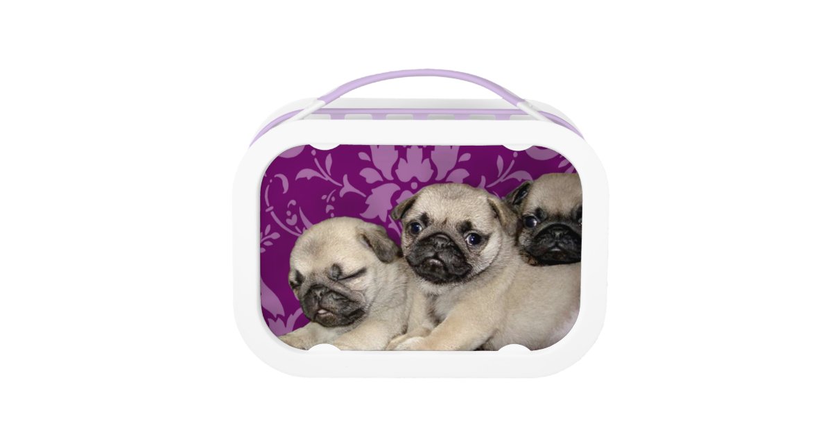 pug lunch box