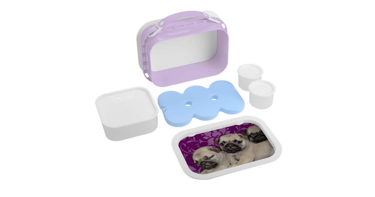 pug lunch box