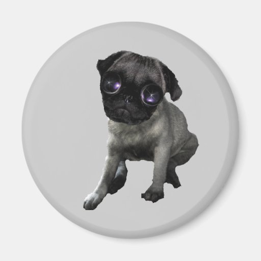 Pug Eyes Fridge Magnets