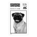 Pug Face postage by glitterbug4883 Pug Face postage
