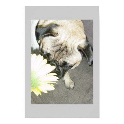 Pug flower power poster by MendedWing