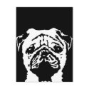 Pug Gifts - Postcard by pupaya Pug Gifts - Postcard