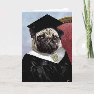 Pug graduation card card