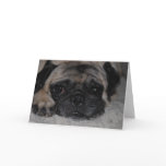 Pug Greeting Cards