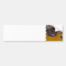 Pug Had One Too Many Bumper Sticker
