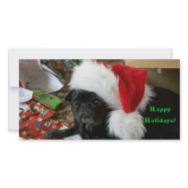 Pug Happy Holidays flat photo greeting card