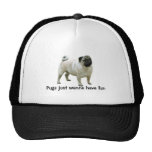 Pug Hat
