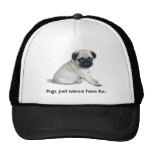 Pug Hat