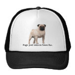 Pug Hat