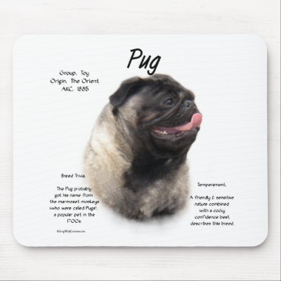 History Of Pugs
