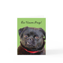 Pug HolidayCard "Ba Hum Pug!"