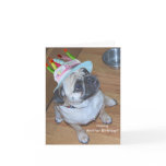 Pug In A Birthday Hat Greeting Cards