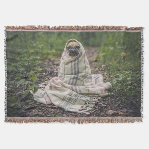 Pug In A Blanket