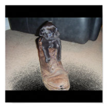 Pug in a Boot posters