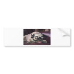 Pug In Glasses Bumper Stickers