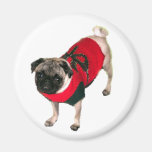 Pug in Holiday Sweater Refrigerator Magnets