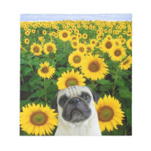 Pug in sunflowers note pad