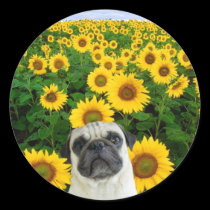 Pug in Sunflowers stickers stickers