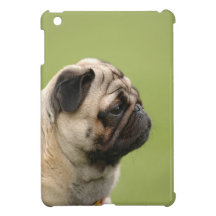 Pug iPad Mini Covers