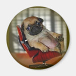 Pug it! fridge magnets