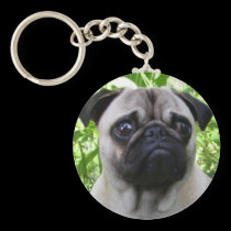 Pug keychain keychains