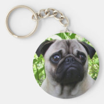 Pug keychain