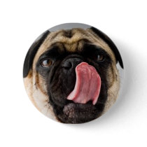 PUG KISS buttons by pugsnpupsgrooming PUG KISS buttons