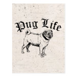 Pug Life Funny Dog Gangster Post Card