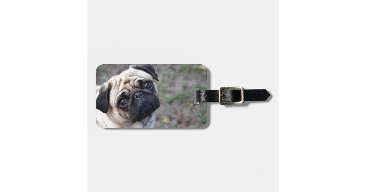 pug luggage pug luggage tag zazzle pug luggage pug luggage tag zazzle