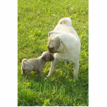 Pug Luv Photo Cutouts