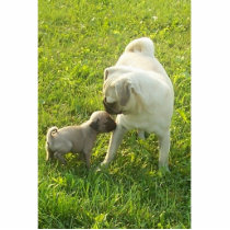 Pug Luv photo sculptures