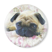 Pug magnet