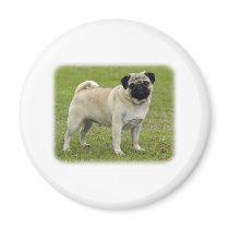 Pug magnets