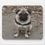 Pug mousepads