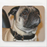 Pug Mousepad