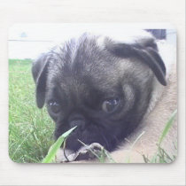 Pug mousepads