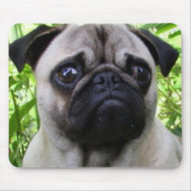 Pug mousepad by ritmoboxer Pug mousepad