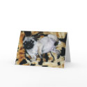 Pug Muffin Valentine's Day Greeting Card
