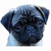 Pug Mug Photo Sculpture Magnet