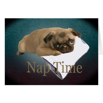 Pug Nap