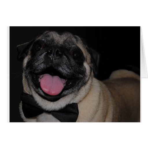 Pug Note Cards